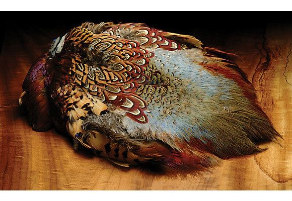 Ringneck Pheasant Skin