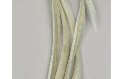 Hareline Stripped Goose Biots