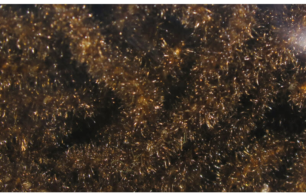 Trilobal Antron Chenille Medium #40 Brown