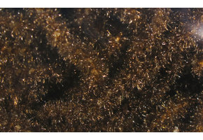 Trilobal Antron Chenille Medium #40 Brown