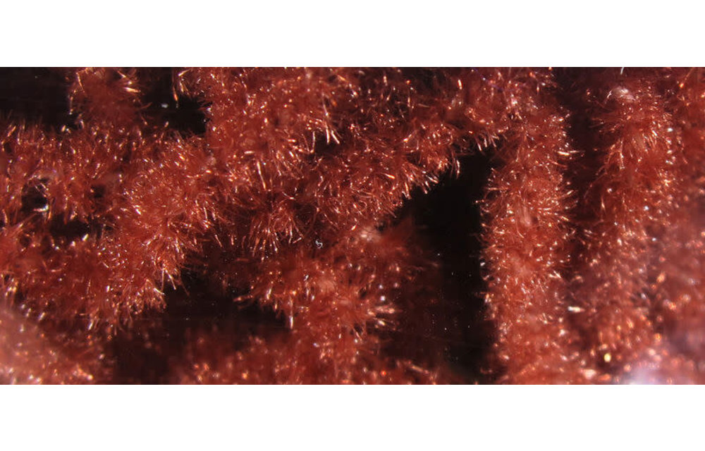Trilobal Antron Chenille Medium #323 Rusty Brown