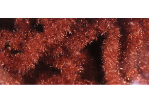 Trilobal Antron Chenille Medium #323 Rusty Brown