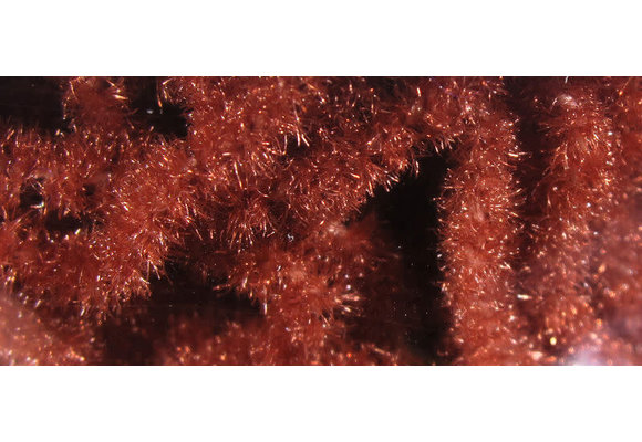 Trilobal Antron Chenille Medium #323 Rusty Brown