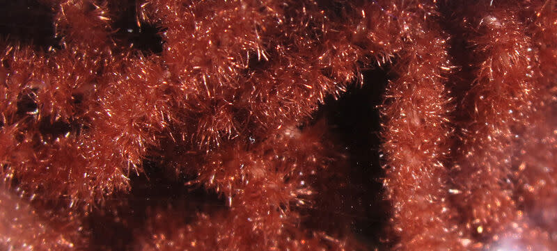 Trilobal Antron Chenille Medium #323 Rusty Brown