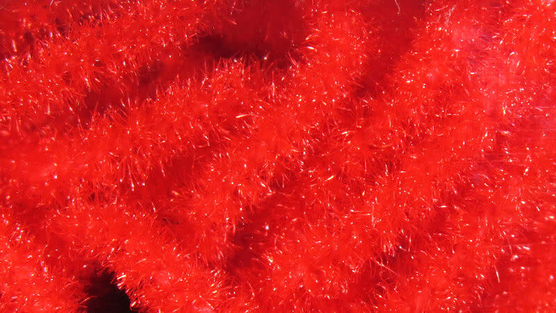 Trilobal Antron Chenille Medium #310 Red