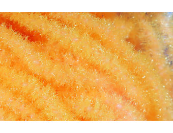 Trilobal Antron Chenille Medium #139 Fl. Shell Pink