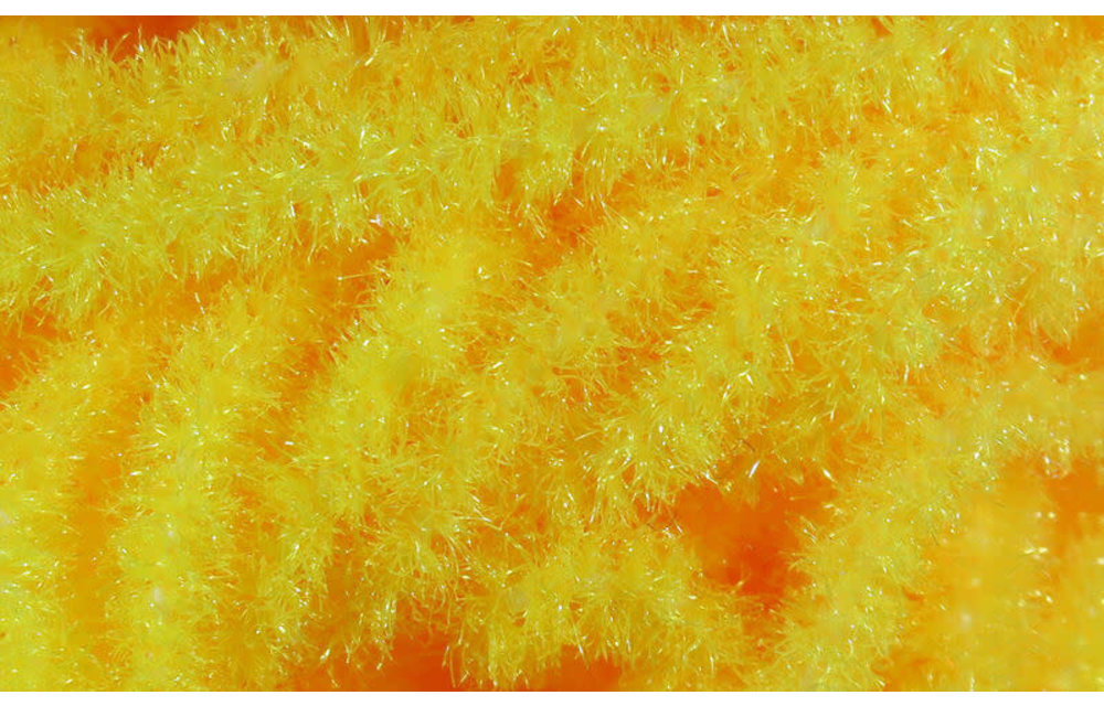 Trilobal Antron Chenille Medium #137 Fl. Oregon Cheese