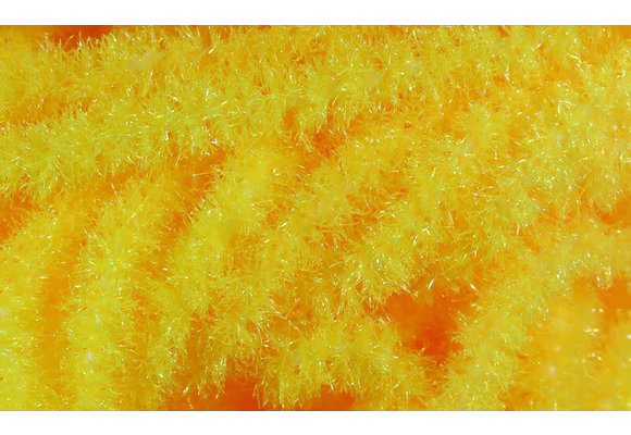 Trilobal Antron Chenille Medium #137 Fl. Oregon Cheese