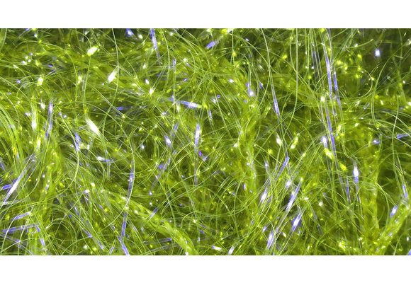 UV Polar Chenille #263 Olive UV