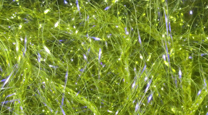 UV Polar Chenille #263 Olive UV