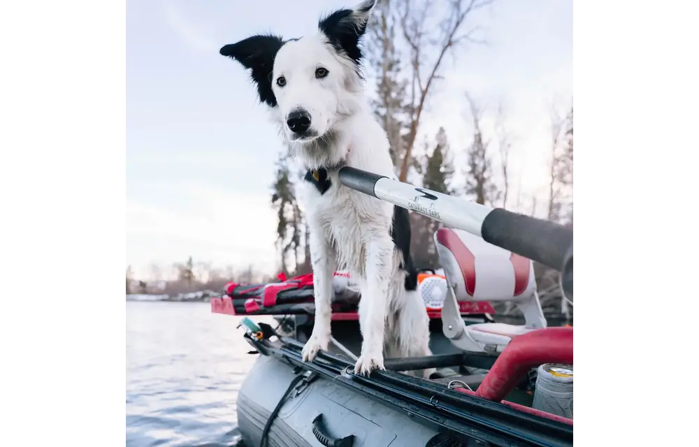 Riversmith Swiftcast Rod Holder