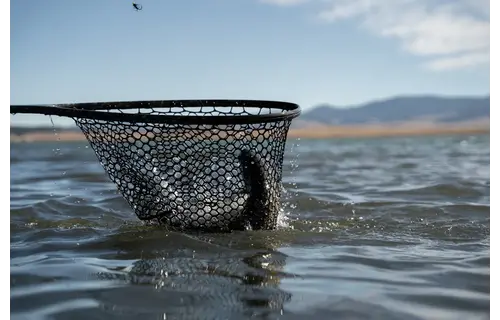 Nomad Boat Net - Original