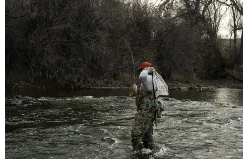 Fishpond Thunderhead Small Submersible Lumbar Pack - Yucca