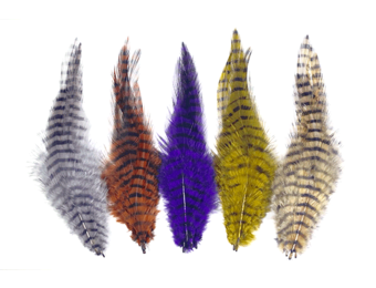 MFC Barred Saddle Hackle