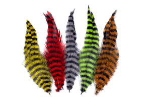 MFC Barred Schlappen