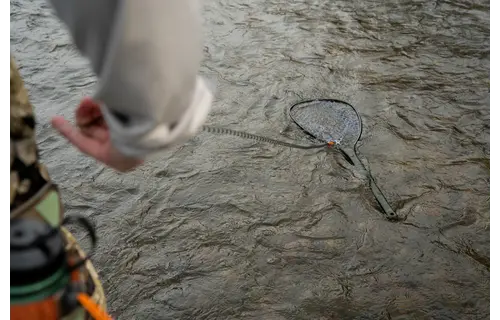 Fishpond Confluence Net Release 2.0