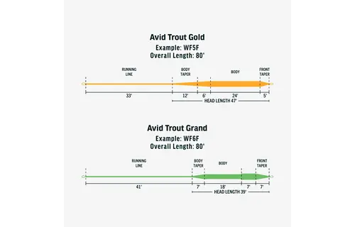 RIO Avid Gold Fly Lines