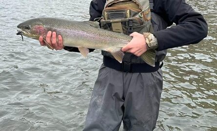 RIVER REPORT 03/20/2025