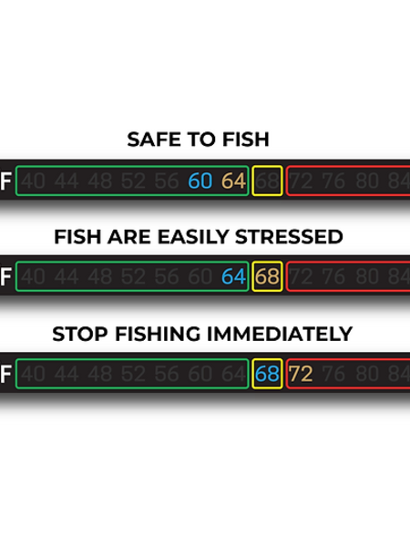 Cling Temperature Tape - Stick-On Thermometer