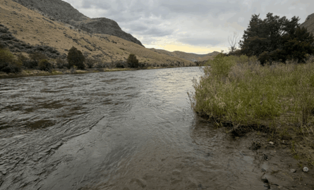 Fishing Report June 4th 2026