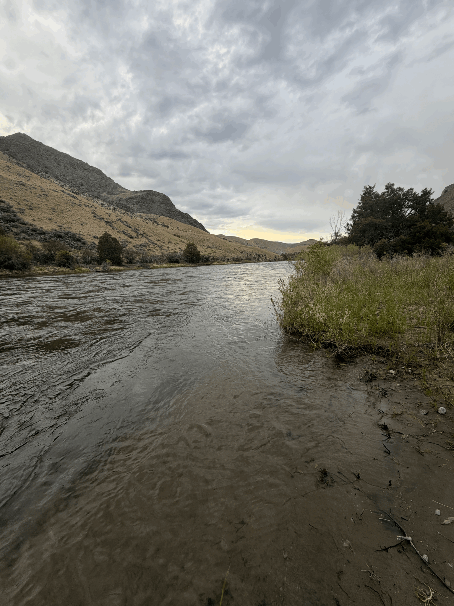 Fishing Report June 4th 2026