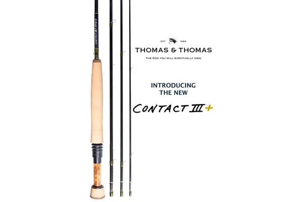 Thomas & Thomas Contact 3+ - 11ft 5in 3wt
