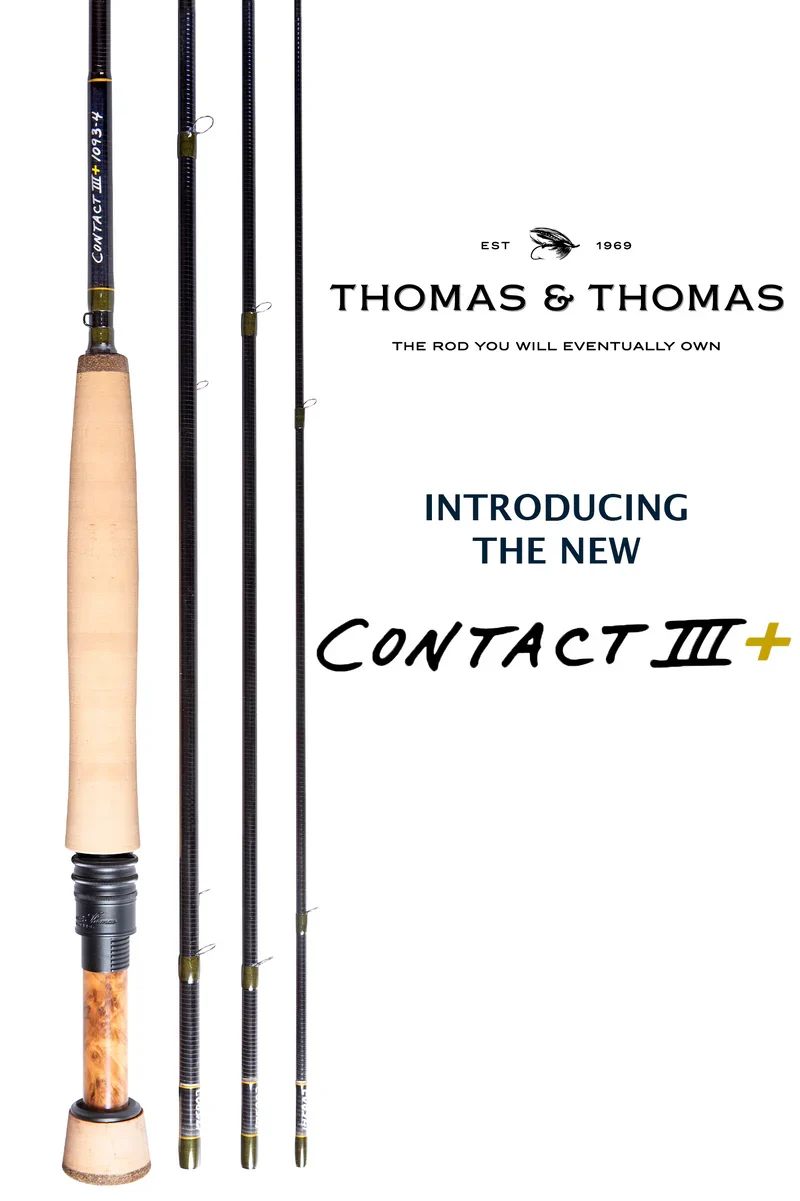 Thomas & Thomas Contact 3+ - 11ft 5in 3wt