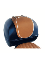 Accessories Luxury Leather Tan Back Rest