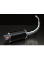 Parts Exhaust, REMUS H/O GTS250-300 Carbon Fibre Finish