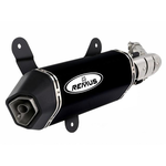 Parts Exhaust, REMUS H/O GTS250-300 Black Finish