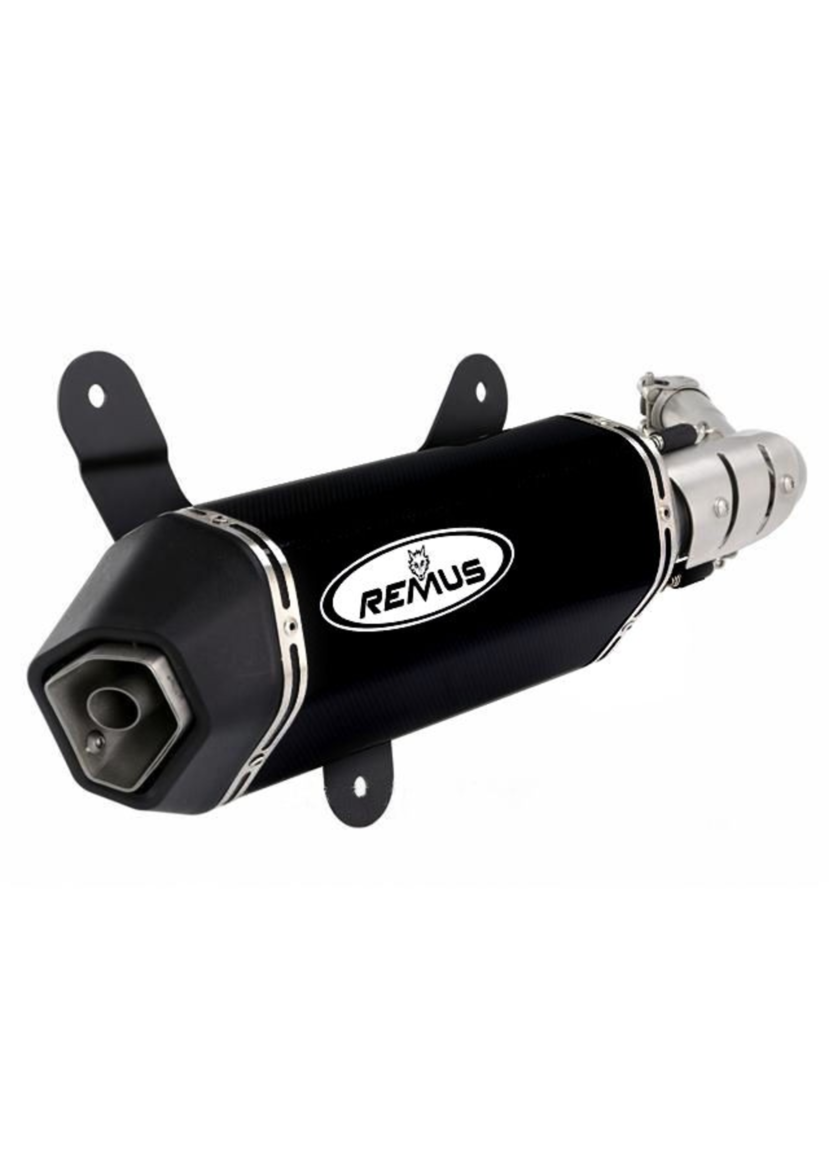 Parts Exhaust, REMUS H/O GTS250-300 Black Finish