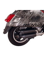 Parts Exhaust, REMUS Dual FLow Carbon Fibre GTS