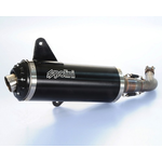 Parts Exhaust, Polini Black GTS 250-300