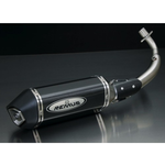 Parts Exhaust, REMUS H/O Primavera/Sprint 150 3V Carbone Fibre