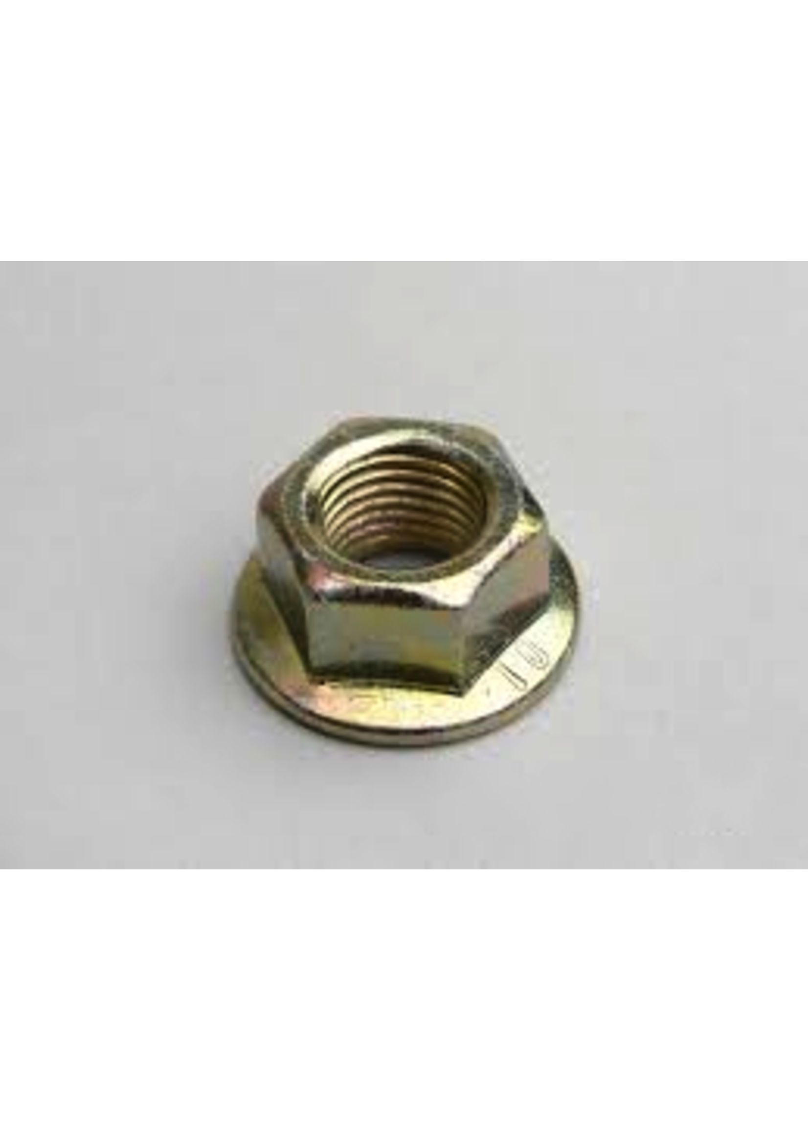 Parts Variator Nut, 350cc (TI6)
