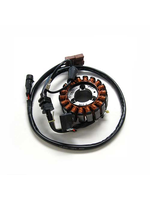 Parts Stator, MP3/GTS 250/300cc (LTE10)