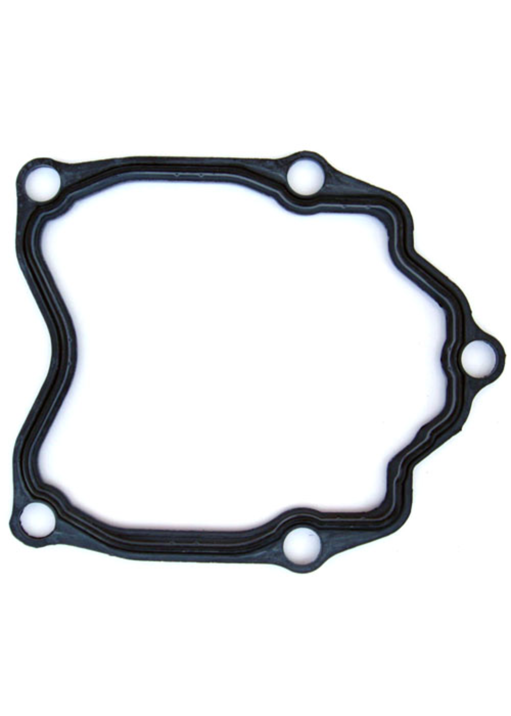 Parts Gasket, Cylinder Head Cover 200-300HPE (G23G)