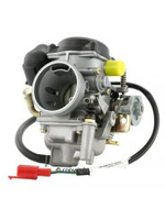 Parts Carburetor, GT200/BV250 Complete