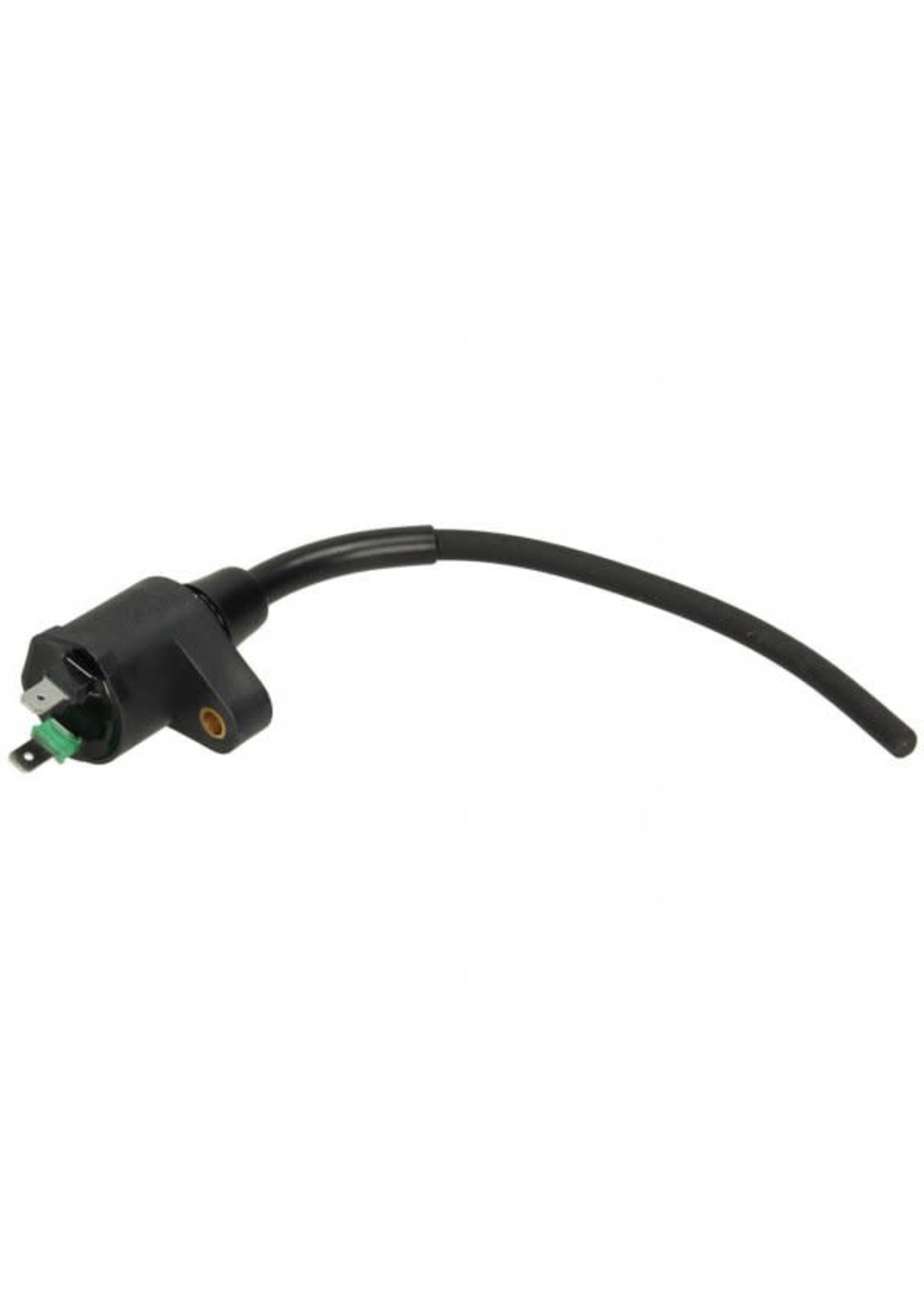 Parts Coil, HT ET4/GT/BV/LX150 (X5C)