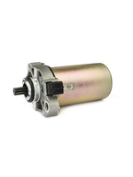 Parts Starter Motor, LX50/Fly50 (LTH6)