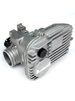 Parts Throttle Body, GTS 250 (DISCONTINNUED)