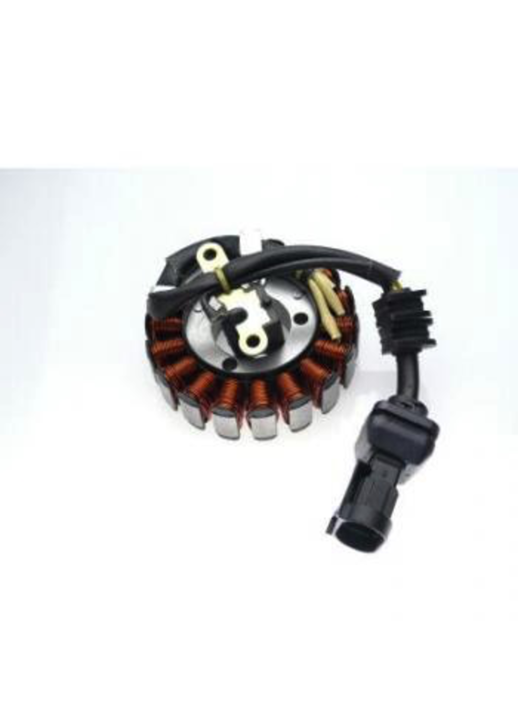 Parts Stator, 2006 BV250