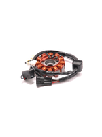 Parts Stator, LX150 i.e. (LTF2)