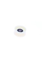 Parts Idler Pulley, Transmission 300cc HPE (A76)