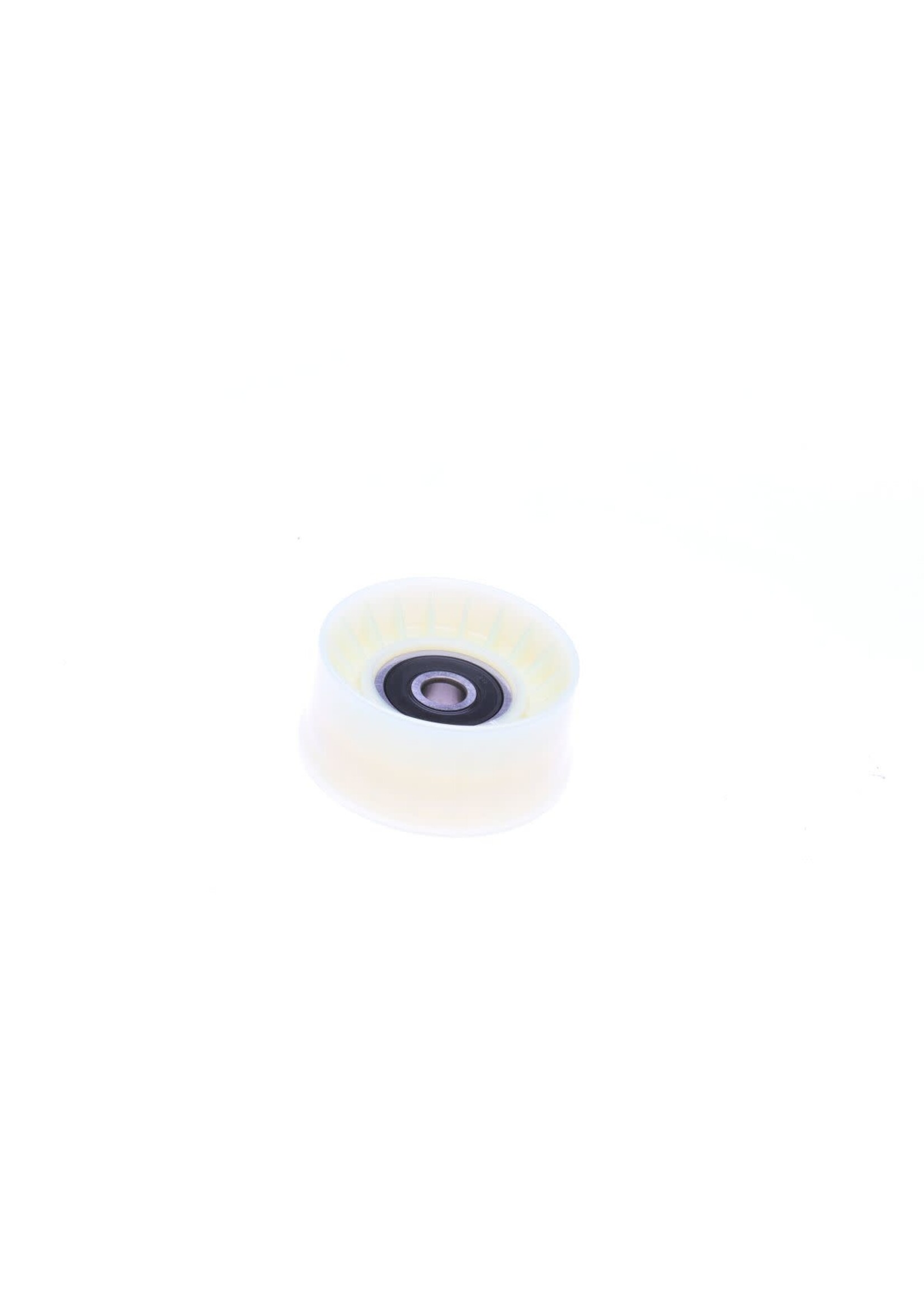 Parts Idler Pulley, Transmission 300cc HPE (A76)