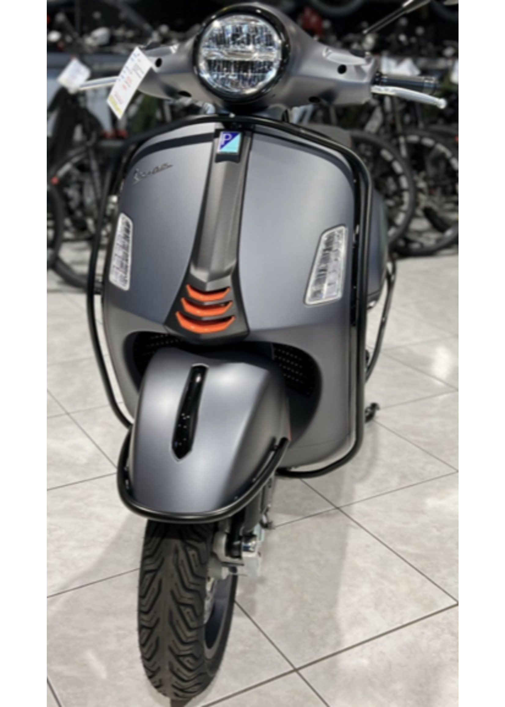 Protector, Front Perimeter / Legshield Black GTS300 HPE