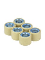 Rollers, Clutch Kit GTS/GTV 310  (Package of 6) TF5