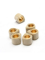 Parts Rollers, Dr. Pulley 19x17 12.5 Grams