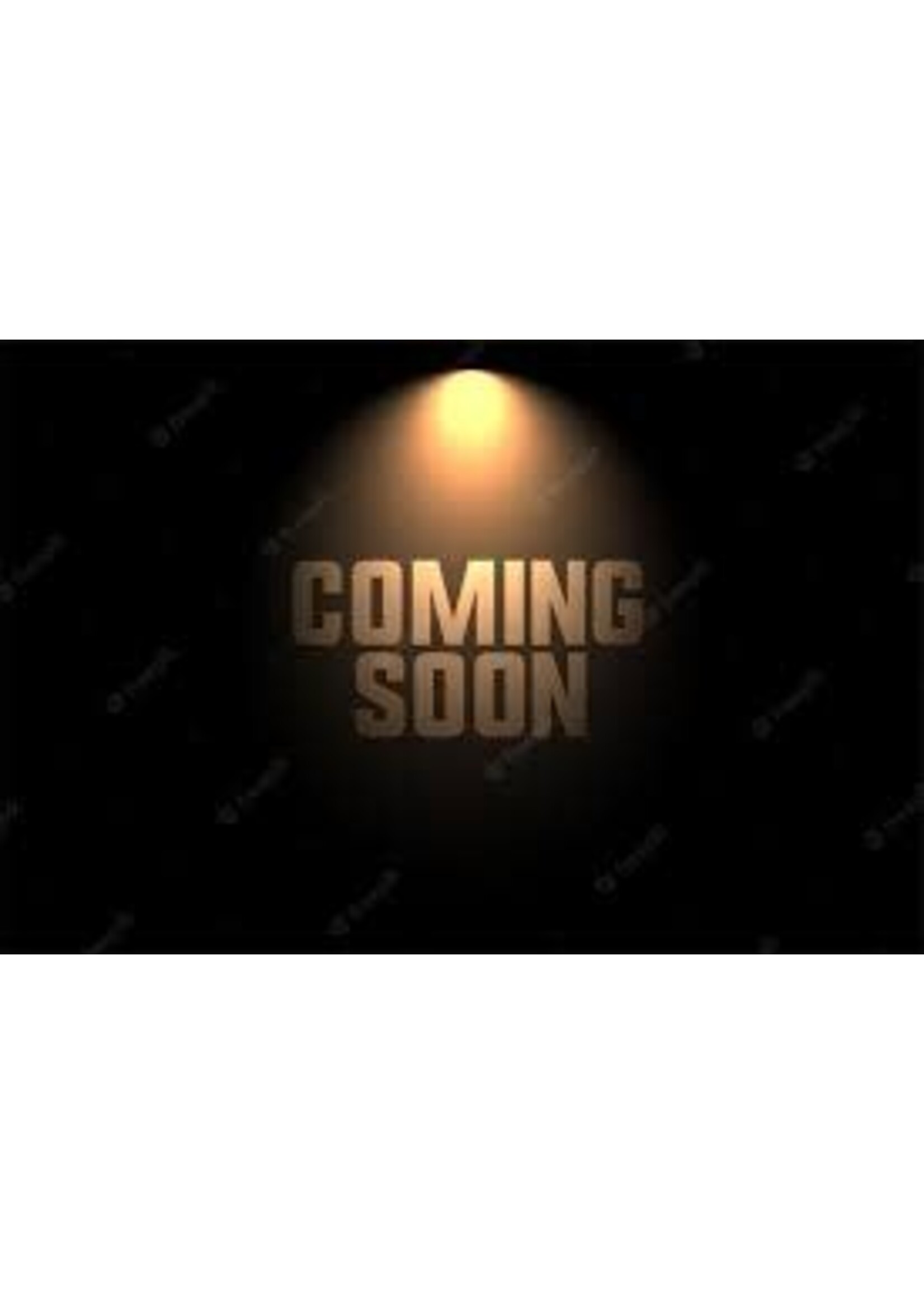 Top Case GTS 300 HPE 2023-2024 ( 3 colours)