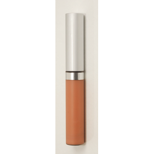 Eyes Natural Wise Disguise Concealer